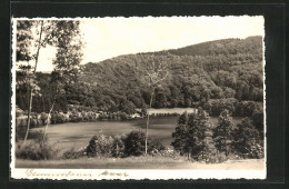 Foto-AK Gemünden /Eifel, Gemündener Maar  - Andere & Zonder Classificatie