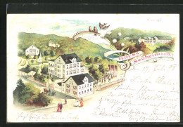 Lithographie Seeheim A. D. B., Hotel Hufnagel Aus Der Vogelschau  - Autres & Non Classés