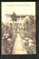 Postal Granada, El Generalife Desde La Entrada  - Granada