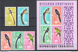 1972 Togo Repubblica - Yvert N. 750/54 + Posta Aerea 184 + Foglietto 63 - Uccelli - 5 Valori + Foglietto - Serie Complet - Other & Unclassified