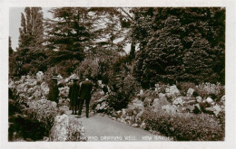 73913793 London__UK The Rockery And Dripping Well Kew Gardens - Other & Unclassified