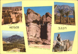 71835024 Israel Negeb Mountains Wueste Oase Kamel Israel - Israel