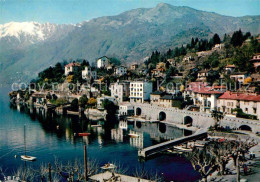 12647836 Ascona Lago Maggiore Collina San Michele Ascona - Autres & Non Classés