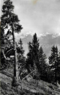 12647576 Crans-sur-Sierre Gebirgspanorama Weisshorn Rothorn Gabelhorn Walliser A - Andere & Zonder Classificatie