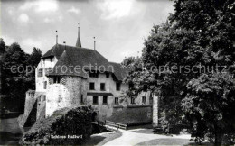 12628226 Hallwil Schloss Hallwil - Autres & Non Classés