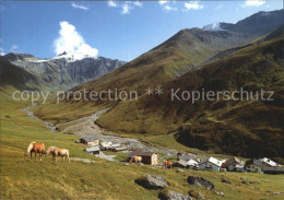 12563156 Juf Avers Forcellina Turba Juf Avers - Sonstige & Ohne Zuordnung