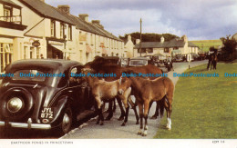 R081823 Dartmoor Ponies In Princetown. Jarrold. Cotman Color - Monde