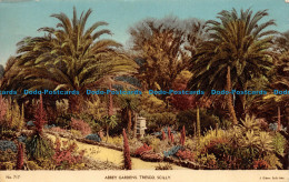 R081846 No. 717. Abbey Gardens. Tresco. Scilly. J. Gibson. 1956 - Mundo