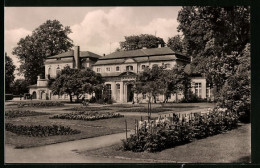 AK Altenburg, Teehaus, Veteranenclub Der Volkssolidarität Im Park Des Friedens  - Altenburg