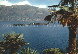 12391306 Isole Di Brissago Gesamtansicht Isole Di Brissago - Andere & Zonder Classificatie