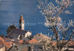 12379346 Ronco Sopra Ascona Blick Auf Kirche Lago Maggiore Baumbluete Ronco Sopr - Sonstige & Ohne Zuordnung