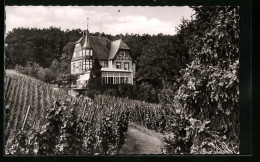 AK Alf-Bullay, Berghotel Haus Waldfrieden Mit Weinreben  - Alf-Bullay