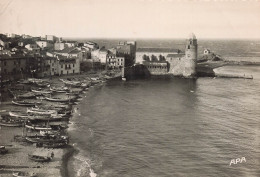 66 COLLIOURE LA VILLE ET LE CLOCHER - Collioure