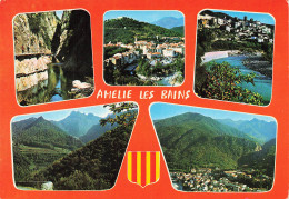 66 AMELIE LES BAINS  - Amélie-les-Bains-Palalda