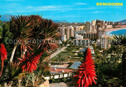 72970522 Benidorm   - Andere & Zonder Classificatie