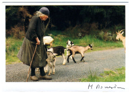 Image D'AUVERGNE - En Juin, Les Cabris Sont Nés... - Auvergne Types D'Auvergne