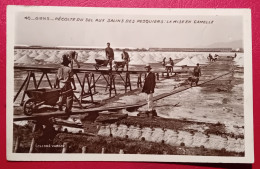 83  - GIENS - Série De 3 Cartes RECOLTE DU SEL AUX SALINS DES PESQUIERS - Andere & Zonder Classificatie