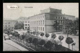 AK Halle A. S., Universität  - Autres & Non Classés