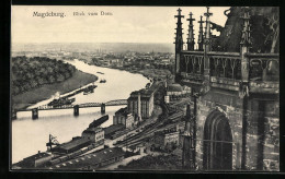 AK Magdeburg, Blick Vom Dom, Elbpartie Mit Dampfer Und Brücke  - Magdeburg