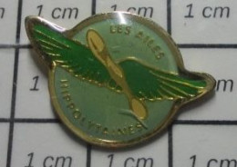 912b Pin's Pins / Beau Et Rare / AVIATION / LES AILES HYPPOLITAINES - Avions