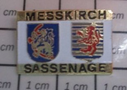 912b Pin's Pins / Beau Et Rare / VILLES / JUMELAGE MESSKIRCH SASSENAGE - Ciudades