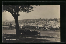 AK Popovo, Panorama  - Bulgarien