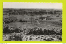 39 SAINTE AGNES Vers Beaufort Vue Générale Vignes En 1965 - Beaufort