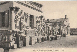 Algérie - TIMGAD - Extérieur Du Musée - Autres & Non Classés