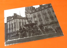 Photographie Ancienne  Nantes (Loire-Atlantique)  Place Royale - Orte