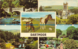 R082543 Dartmoor. Multi View. 1975 - World