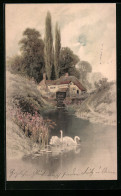 Künstler-AK Meissner & Buch (M&B) Nr. 1189: Am Weiher, Flusspartie Mit Haus, Schwäne  - Autres & Non Classés