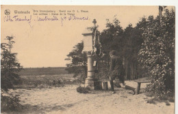 Belgique - WESTMALLE  Les Collines - Statue De La Vierge - Otros & Sin Clasificación