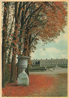 78 VERSAILLES LE TAPIS VERT - Versailles (Château)