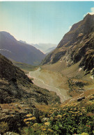 25 MASSIF DE L OISANS LE PRE DE MME CARLE - Sonstige & Ohne Zuordnung