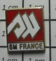 912b Pin's Pins / Beau Et Rare / MARQUES / SM FRANCE - Merken