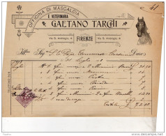 1901  FATTURA  -  OFFICINA DI MASCALCIA  E VETERINARIA  FIRENZE - Italy