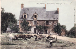 72 - Sarthe - SAINTE JAMME Sur SARTHE- Vieux Chateau D Antoigné - Ferme - Andere & Zonder Classificatie