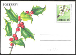 Norvegia/Norway/Norvège: Intero, Stationery, Entier, Agrifoglio, Holly, Houx, Pianta Di Natale, Christmas Plant, Plante - Weihnachten