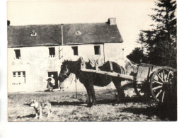 CP BODENNA (Finistère) - Other & Unclassified