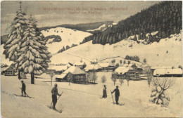 Menzenschwand - Gasthof Zum Hirschen - St. Blasien