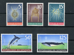 Senegal 505-509 Postfrisch Fische #HK915 - Sénégal (1960-...)