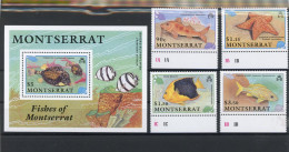 Montserrat 795-798, Block 60 Postfrisch Fische #IN003 - Anguilla (1968-...)