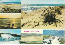 40 LANDES  Cote Landaise - Other & Unclassified