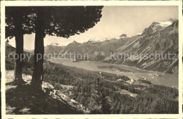 12334616 Sils Maria Graubuenden Mit See Maloja  Sils/Segl Maria - Other & Unclassified