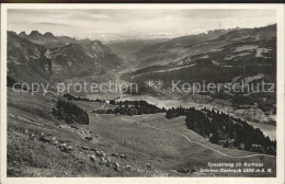 12334376 Walenstadt Schrina Hochruck Walenstadt - Other & Unclassified