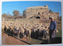 FRANCE - LOZERE - Berger Sur Le Causse - Autres & Non Classés