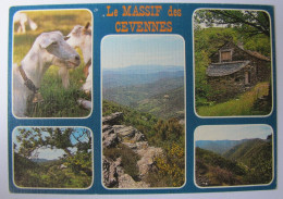 FRANCE - LOZERE - Le Massif Des Cévennes - Autres & Non Classés