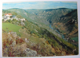 FRANCE - LOZERE - Gorges Du Tarn - Saint-Rome-de-Dolan - Les Vignes - Gorges Du Tarn