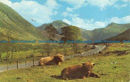 R083122 The Road To The Hills. Glen Nevis. 1971 - World