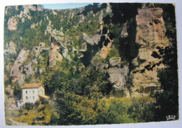 FRANCE - LOZERE - Gorges Du Tarn - Le Cirque Des Baumes - Gorges Du Tarn